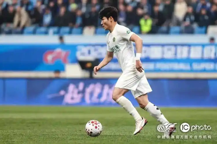 雨燕免费直播在线观看